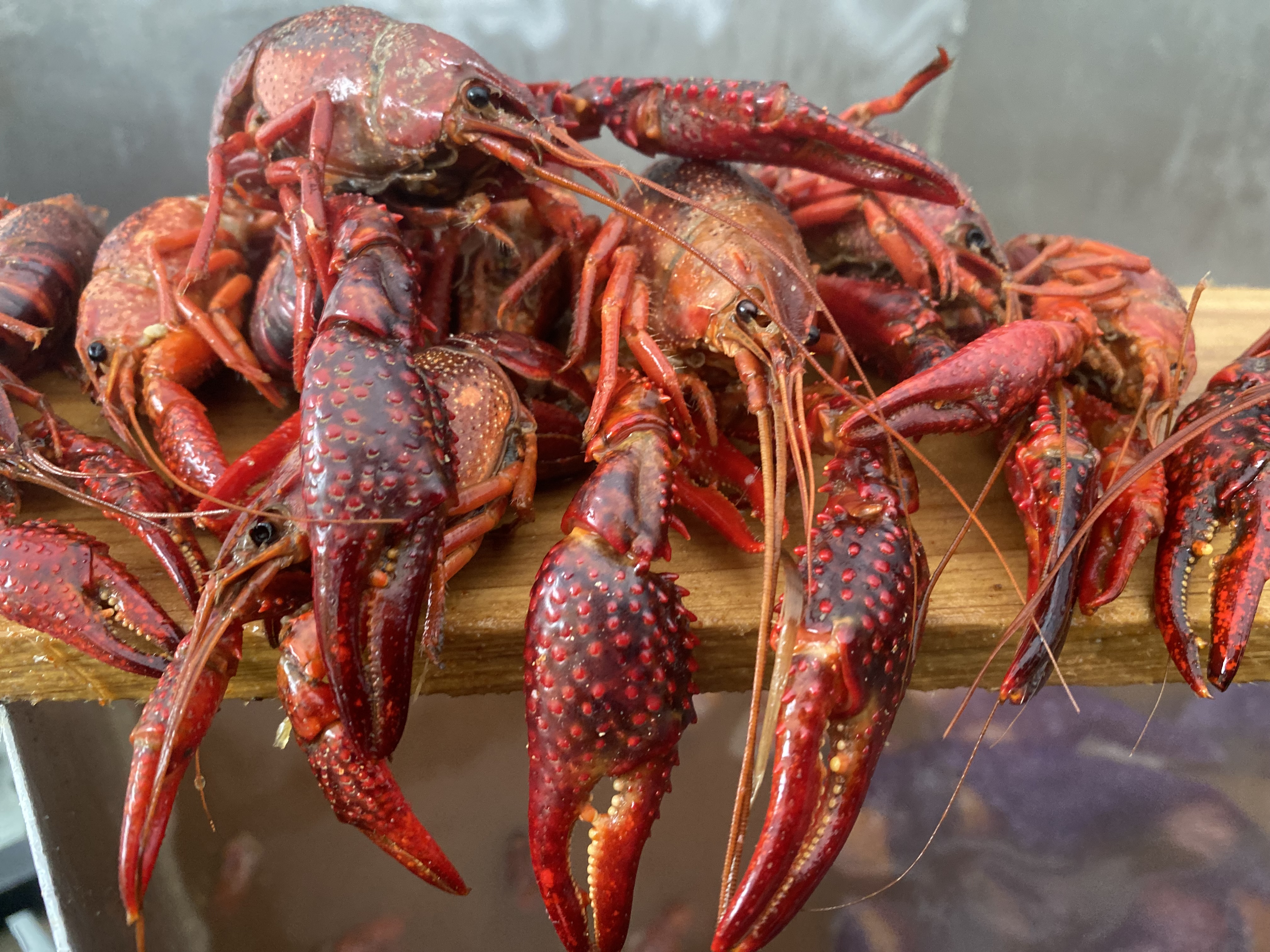 Pinch & Pull Seafood photo 1