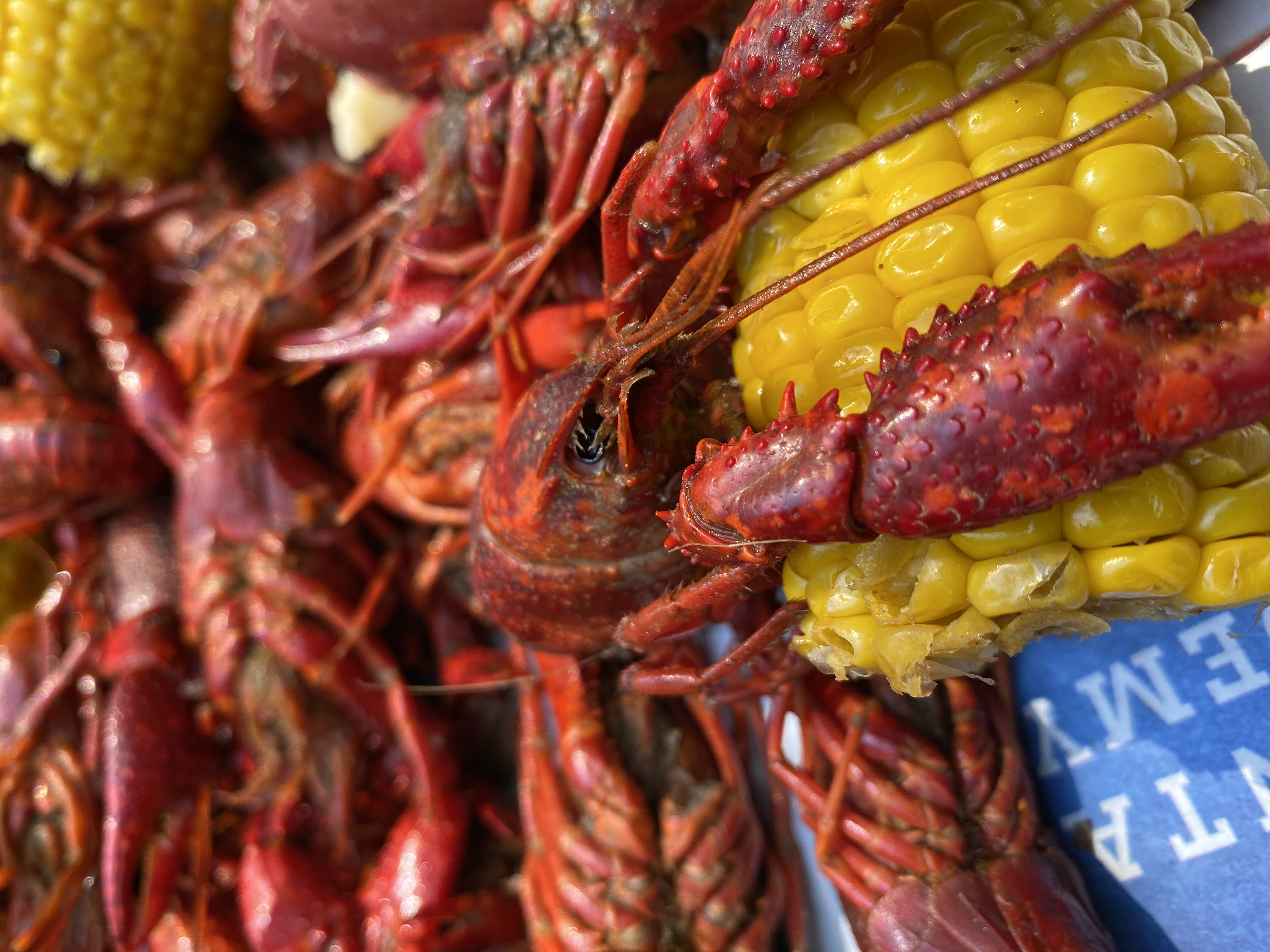 Pinch & Pull Seafood photo 3